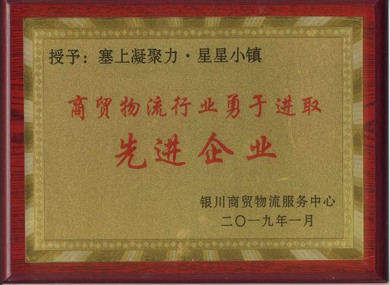 3－星星小镇商贸物流先进企业201901.jpg